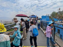-青藏高原野生动物园