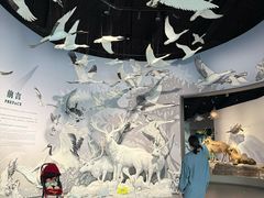 -中国湿地博物馆