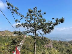 -玉苍山国家森林公园