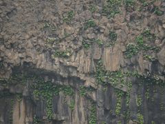 -黄椅山火山森林公园