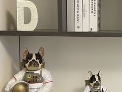 -江湖六膳門串串香(隆礼路店)