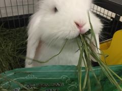 -雨林宠物医院 非犬猫异宠专科