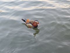 -西湖天地