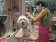 -樱桃家的宠物店(君安花园店)