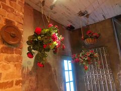 -The Grounds of Alexandria