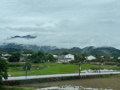 -黄牛肉馆·皖南土菜