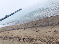 -音乐广场