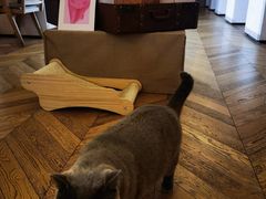 -Me Coffee下午茶艺术空间