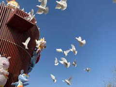 -南宫五洲植物乐园