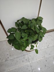 -Lily纤美·科技减脂中心