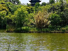 -梁鸿国家湿地公园