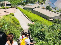 -江南天池