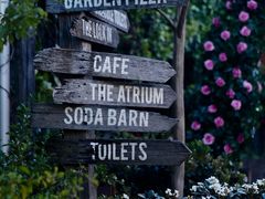-The Grounds of Alexandria