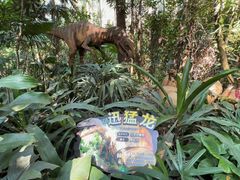 -广州长隆野生动物世界