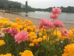 -上海鲜花港