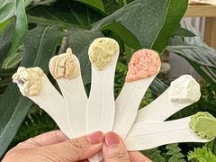 -野人先生Gelato(上海长宁龙之梦店)