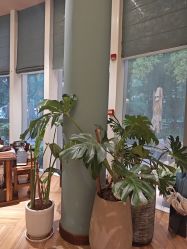 -娇玫荟SPA