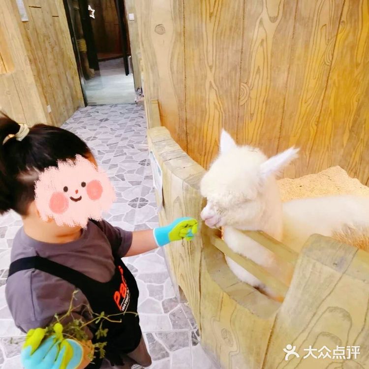 198元一大一小畅玩整个动物园