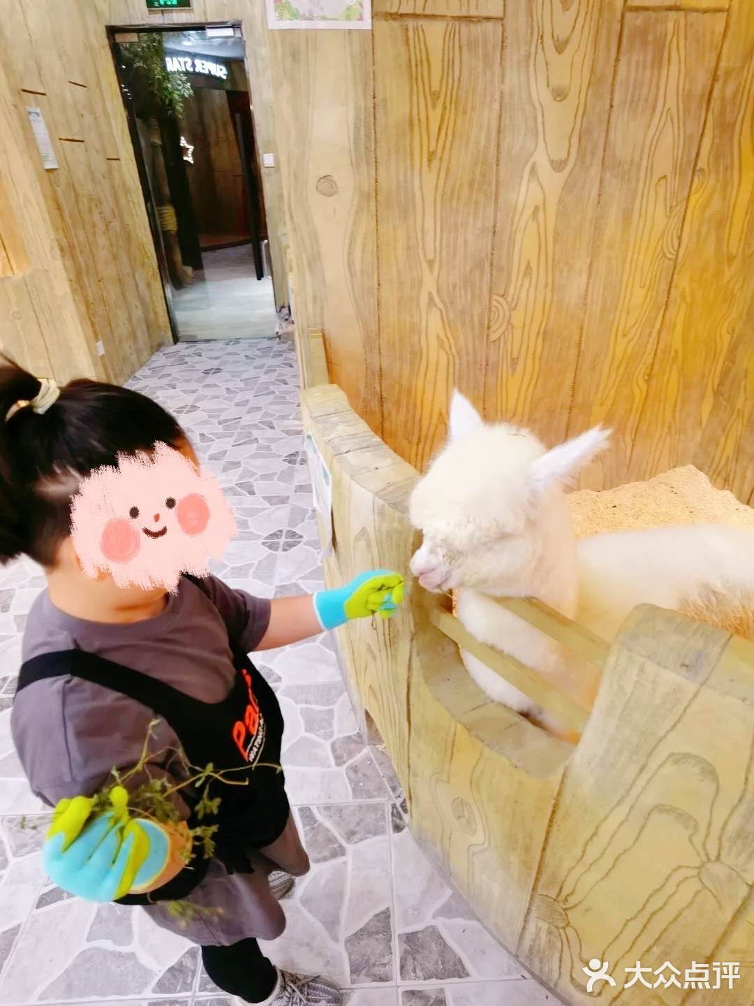 198元一大一小畅玩整个动物园