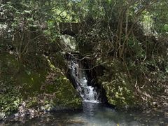 -夏霖九天银瀑风景区