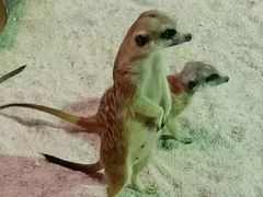 -哈尔滨极地公园