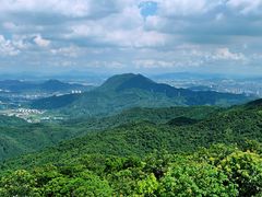 -东莞市大岭山森林公园