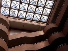 -中山大学学者灵芝(园南路店)