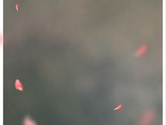 -麦当劳(郴州北湖店)