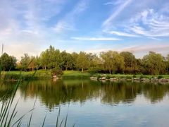 -万柳高尔夫俱乐部