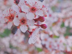 -观象山公园