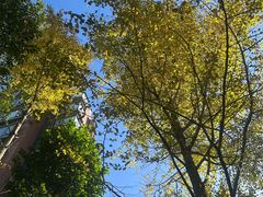 -东钱湖旅游度假区