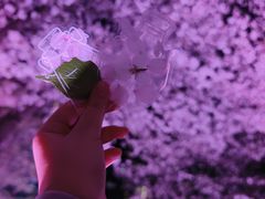 -西北湖绿化广场