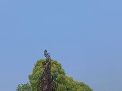 -上海月湖雕塑公园