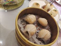 -宝燕壹号(徐汇店)