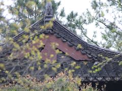 -慧因高丽寺