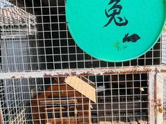 -元鼎宝驴香·全驴宴(江宁店)