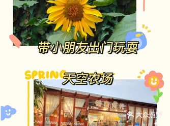 🪐🪐你的假期余额已不足，请及时充值，哈哈