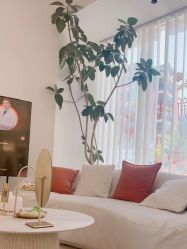 -WENDY·温迪皮肤管理