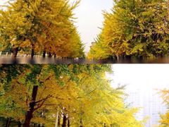 -辽宁大学(崇山校区)