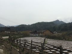 -黑河国家森林公园