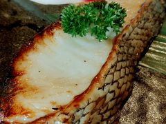 银鳕鱼西京烧-千懿六本木酒场(常熟路店)