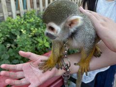 -水上乐园·欢乐世界