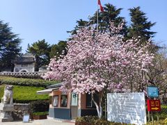 -湛山寺