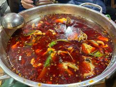 -蛙蛙鸡冷锅鱼(驷马桥店)