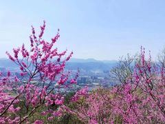 -天台山赤城山景区