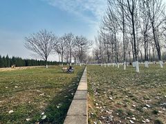 -汉长安城未央宫国家考古遗址公园