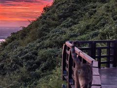 -圌山