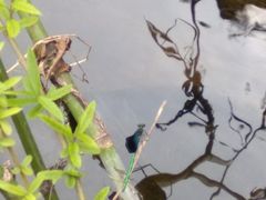 -碓臼峪自然风景区