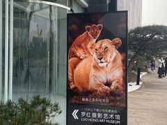-罗红摄影艺术馆