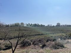 -南京市江宁方山